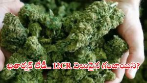 Shamshabad Airport: శంషాబాద్ ఎయిర్‌పోర్టులో రూ.12 కోట్ల విలువవైన గంజాయి పట్టివేత