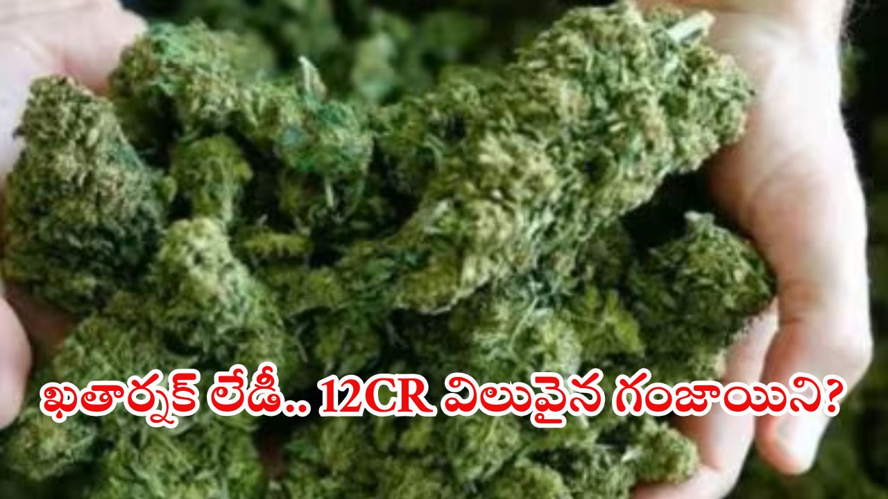 Shamshabad Airport: శంషాబాద్ ఎయిర్‌పోర్టులో రూ.12 కోట్ల విలువవైన గంజాయి పట్టివేత