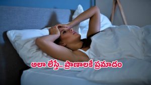 Sleeping Health Benefits: ఒక్కసారిగా నిద్రలేపితే మెదడుకు ఏమవుతుందో తెలుసా..? వైద్యుల హెచ్చరిక