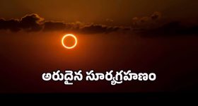 Tollywood :పడుకుంటేనే అవకాశాలు.. హాట్ బాంబ్ పేల్చిన బద్రి మూవీ హీరోయిన్!