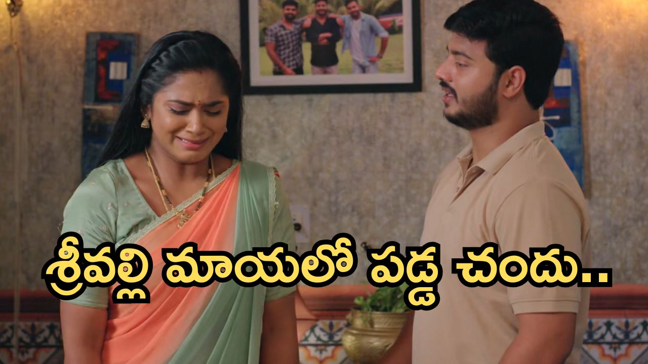 Illu Illalu Pillalu Today Episode: ప్రేమ భయాన్ని పోగొట్టేందుకు ధీరజ్ ప్లాన్.. నర్మదకు మాటిచ్చిన సాగర్.. శ్రీవల్లి మాస్టర్ ప్లాన్..