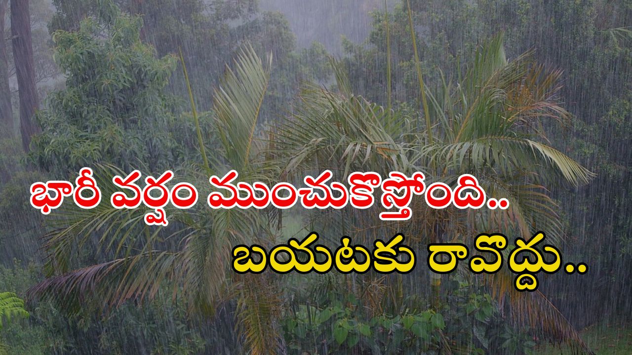 Weather News: రాష్ట్రంలో మళ్లీ భారీ వర్షాలు.. ఈ జిల్లాల్లో అయితే కుండపోత వానలు