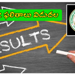 TGPSC Group 2: తెలంగాణ గ్రూప్-2 ఫలితాలు విడుదల.. ఇలా చెక్ చేసుకోండి