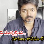 TVK Vijay: నాపై ప్రతీకారం తీర్చుకోండి.. తొక్కిసలాట ఘటనపై హీరో విజయ్ స్పందన