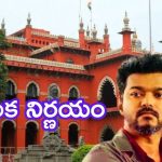 Chennai News: విజయ్ పార్టీ సంచలన నిర్ణయం.. హైకోర్టులో పిటిషన్, సీబీఐ విచారణ కోసం?