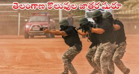 UP Man: ఒక రైలు ఎక్కబోయి.. మరో రైలు ఎక్కాడు.. చివరి ప్రాణాలు కోల్పోయాడు!