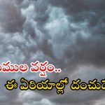 Weather News: ఈ జిల్లాల్లో కుండపోత వర్షాలు.. పిడుగుల వాన, బయటకు వెళ్లొద్దు