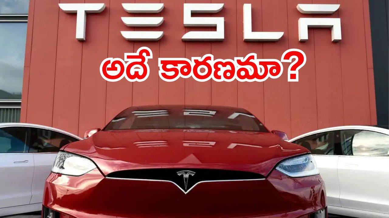 Tesla Car: భారత్‌ మార్కెట్‌లో టెస్లాకు ఏమైంది? అంచనాలను అందుకోవడం లేదా?