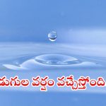 Weather News: రాష్ట్రంలో భారీ వర్షం.. ఈ జిల్లాల్లో రాత్రంతా కుండపోత వాన, పిడుగులు కూడా పడే ఛాన్స్
