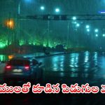 Weather News: మళ్లీ వర్షాలు స్టార్ట్.. ఉరుములు, మెరుపులతో కూడిన పిడుగుల వర్షం..
