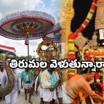 Tirumala TTD updates: శ్రీవారి భక్తులకు బిగ్ అలర్ట్.. ఆన్ లైన్ టికెట్లు రద్దు.. టీటీడీ కీలక ప్రకటన ఇదే!