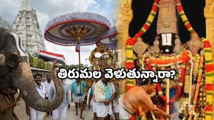 Tirumala TTD updates: శ్రీవారి భక్తులకు బిగ్ అలర్ట్.. ఆన్ లైన్ టికెట్లు రద్దు.. టీటీడీ కీలక ప్రకటన ఇదే!
