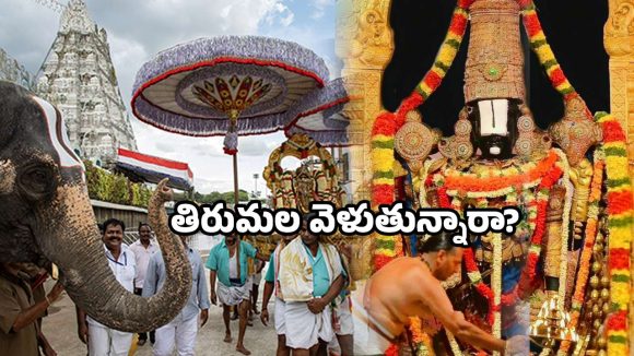 Tirumala TTD updates: శ్రీవారి భక్తులకు బిగ్ అలర్ట్.. ఆన్ లైన్ టికెట్లు రద్దు.. టీటీడీ కీలక ప్రకటన ఇదే!