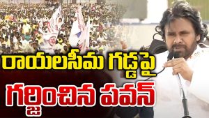 Pawan Kalyan: రాయలసీమ అభివృద్ధిపై.. పవన్ కళ్యాణ్ కీలక వ్యాఖ్యలు