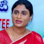 YS Sharmila: ఓటు చోరీ జరిగింది.. త్వరలోనే ఆధారాలతో బయటపెడతాం: షర్మిల