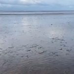 Antarvedi Sea Retreats: 500 మీటర్లు వెనక్కి.. సునామీ వస్తుందా? అంతర్వేది వద్ద హై అలర్ట్