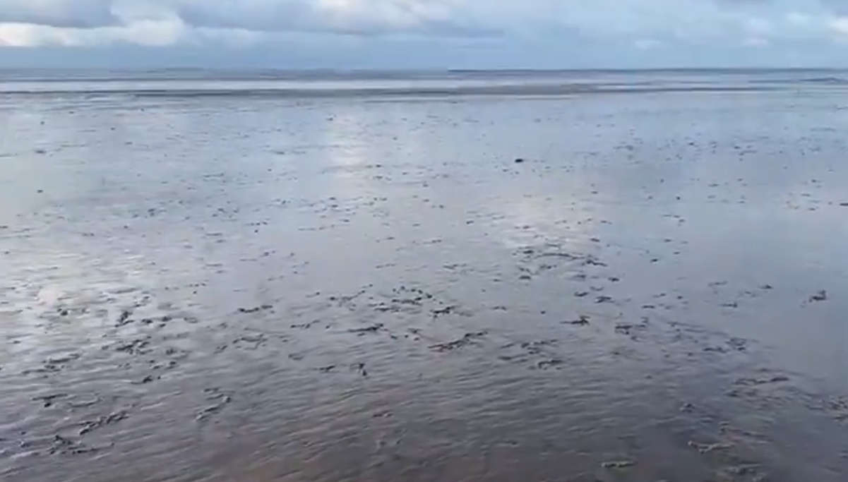 Antarvedi Sea Retreats: 500 మీటర్లు వెనక్కి.. సునామీ వస్తుందా? అంతర్వేది వద్ద హై అలర్ట్