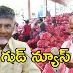 AP Onion Farmers: ఉల్లి రైతులకు బాబు గుడ్‌న్యూస్.. ఖాతాల్లోకి రూ. 50 వేలు