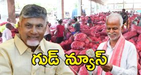 Tollywood: ప్రముఖ రచయిత కన్నుమూత.. ఏమైందంటే?