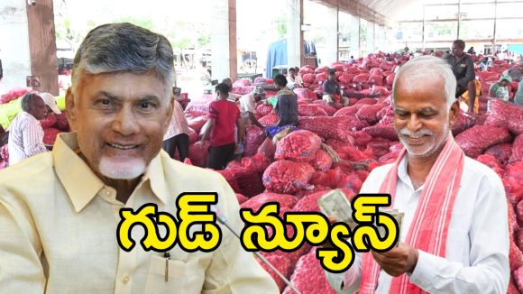 AP Onion Farmers: ఉల్లి రైతులకు బాబు గుడ్‌న్యూస్.. ఖాతాల్లోకి రూ. 50 వేలు