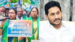 YS jagan: ఏపీలో అన్నదాతపోరు.. యధావిధిగా జగన్ కేరాఫ్ బెంగళూరు