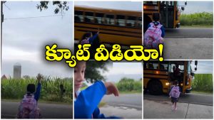 Viral Video: స్కూల్ బస్సు ఆగకుండా వెళ్లిపోయిందని చిన్నారి ఏడుపు.. అది తెలిసి డ్రైవర్ ఏం చేశాడంటే?