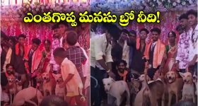 Parvati Melton: సడెన్ గా బేబీ బంప్ తో షాకిచ్చిన పవన్ హీరోయిన్