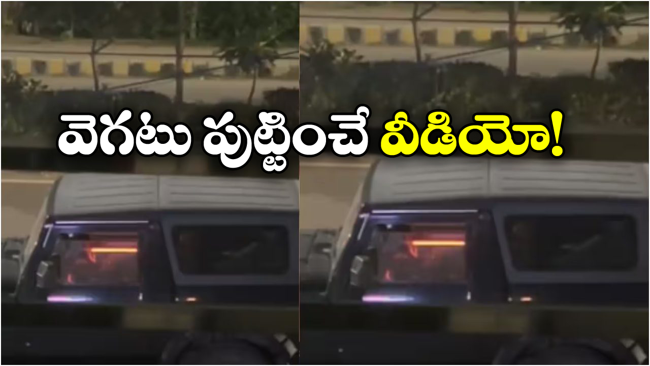 Viral Video: రోడ్డు మధ్యలో కారు ఆపి.. హస్త ప్రయోగం.. ఇంత కరువులో ఉన్నావ్ ఏంట్రా?