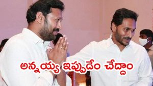 Vivekananda Case: అవినాష్‌రెడ్డి మెడకు ఉచ్చు.. మళ్లీ రంగంలోకి సీబీఐ?