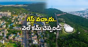 Kalyani Priyadarshan: అందుకే తెలుగు సినిమాలు చేయట్లేదు.. హీరోయిన్ క్లారిటీ!