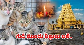 Aishwarya Rajesh : పింక్ శారీలో భాగ్యం ఎంత అందంగా ఉందో.. చూపుతిప్పుకోవడం కష్టమే..