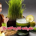 Wheatgrass juice: గోధుమ గడ్డిలో ఇంత పవర్ ఉందా?  దీని జ్యూస్ తాగితే ఇన్ని లాభాలా!