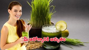 Wheatgrass juice: గోధుమ గడ్డిలో ఇంత పవర్ ఉందా?  దీని జ్యూస్ తాగితే ఇన్ని లాభాలా!