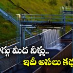 Water on Coal:  రైల్వే వ్యాగన్లలో బొగ్గు తరలించేటప్పుడు నీళ్లు చల్లుతారు, ఎందుకో తెలుసా?