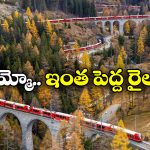 Longest Passenger Train: ఈ ఒక్క రైలుకే 100 బోగీలు.. 25 ఇంజిన్లు.. ఇది ఎక్కడ నడుస్తోందంటే?