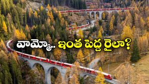 Longest Passenger Train: ఈ ఒక్క రైలుకే 100 బోగీలు.. 25 ఇంజిన్లు.. ఇది ఎక్కడ నడుస్తోందంటే?