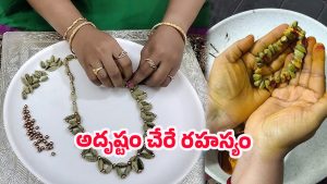 Elaichi Mala: యాలకుల మాల శక్తి.. అప్పులు తొలగించే ఆధ్యాత్మిక పరిష్కారం