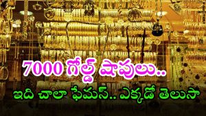 Zaveri Bazaar: మనదేశంలో.. 150 ఏళ్ల చరిత్ర గల అతిపెద్ద బంగారం మార్కెట్.. ఆసియాలోనే పెద్దది