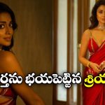 Shriya Saran: నేను హీరోయిన్ అని నా భర్తకు తెలీదు.. ఆ మూవీ చూసి భయపడ్డారు – శ్రియా