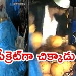 Hyderabad News: హైదరాబాద్‌ సిటీలో కొబ్బరికాయల దొంగ.. ఆటోడ్రైవర్ అర్థరాత్రి, పగలు వ్యాపారం