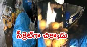 Hyderabad News: హైదరాబాద్‌ సిటీలో కొబ్బరికాయల దొంగ.. ఆటోడ్రైవర్ అర్థరాత్రి, పగలు వ్యాపారం