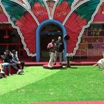 Bigg Boss 9 Telugu: బిగ్ బాస్ 9 తెలుగు ఫస్ట్ వీక్ ఎలిమినేషన్.. ఆమెను టార్గెట్ చేస్తున్నారా?