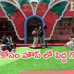 Bigg Boss 9 Day 2 Review : ఓనర్స్ & టెనంట్స్ కు రూల్స్.. రచ్చ చేసిన మాస్క్ మ్యాన్.. సెలబ్రిటీలకు కడుపు మంట..