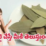 Health Benefits: బిర్యాని ఆకుతో బోలెడు ప్రయోజనాలు.. ఒక్కసారి వాడితే మంచి ఫలితాలు