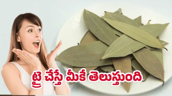Health Benefits: బిర్యాని ఆకుతో బోలెడు ప్రయోజనాలు.. ఒక్కసారి వాడితే మంచి ఫలితాలు