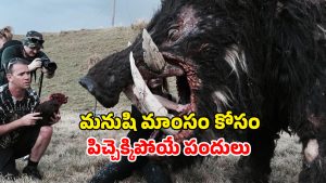 OTT Movie : పందుల పైశాచికం… మనుషుల్ని పీక్కుతినే విడ్డూరం… వెన్నులో వణుకు పుట్టించే సీన్లు మావా