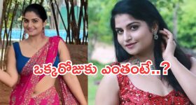 OTT Movie : 90 శాతం జంతుజాతిని తుడిచి పెట్టేసే వైరస్... మనుషుల్ని ముక్కలు ముక్కలుగా నరికేసే అమ్మాయిలు... నరాలు తెగే ఉత్కంఠ