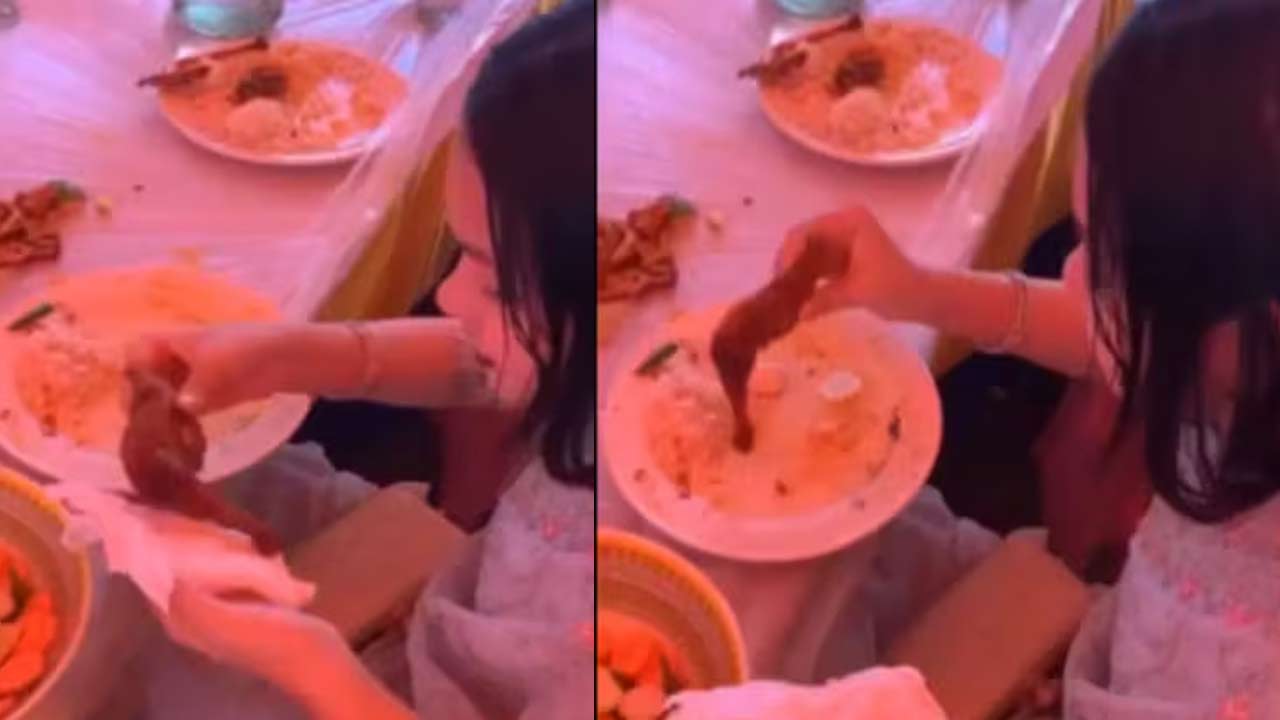 Chicken Leg Thief: పెళ్లిలో చికెన్ లెగ్ పీస్ చోరీ.. పర్సులో దాచిన అతిథి