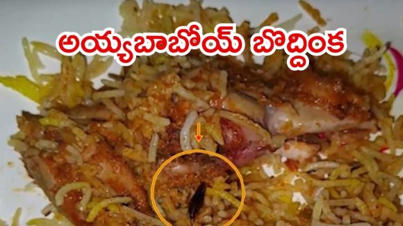 Rangareddy News: బిర్యానీలో బొద్దింకలు.. తాండూరులో ఆ హోటల్ బాగోతం