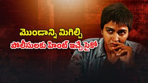 OTT Movie : తెగిపడే ఆడవాళ్ళ తలలు… క్వశ్చన్ మార్క్ కిల్లర్ బ్రూటల్ హత్యలు… ట్విస్టులతో మతిపోగోట్టే మర్డర్ మిస్టరీ